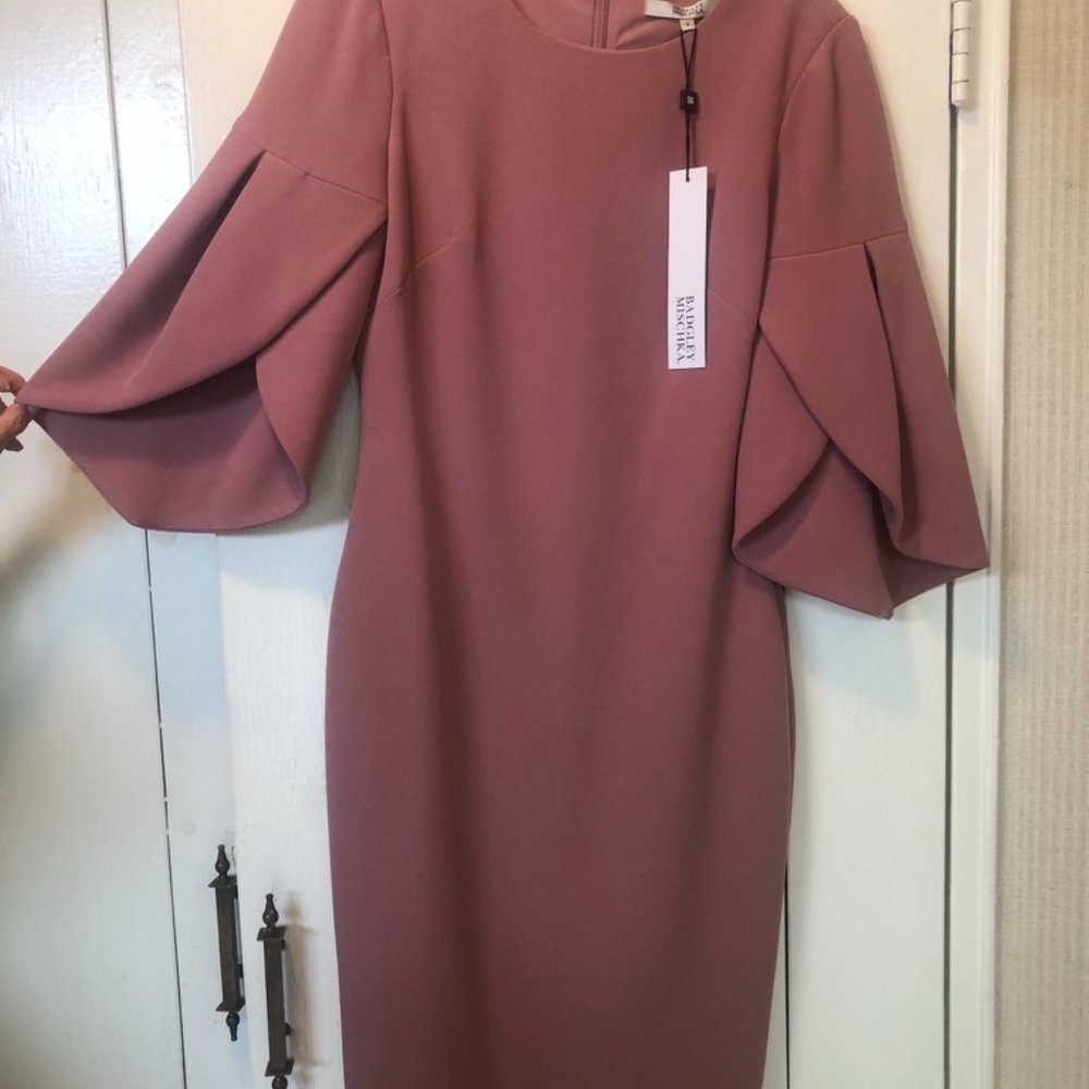 Badgley Mischka Size 2 DeepRose